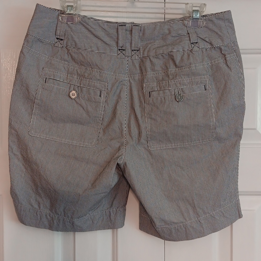 Christopher & Banks Blue & White Striped Shorts